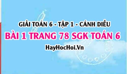 Giải bài 1 trang 78 Toán 6 Tập 1 SGK Cánh Diều